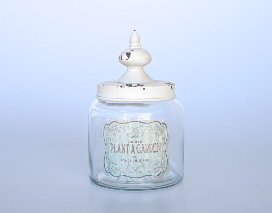 Glass Jar 'Plant'