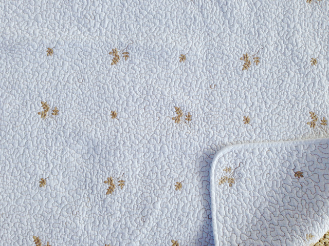 White With Beige Embroidery Quilt