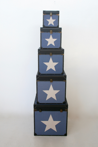 Set Of Blue Star Kists