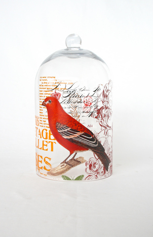 Red Bird Glass Dome