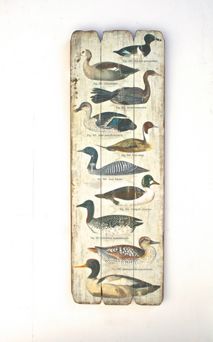 Ducks Wooden Plaque