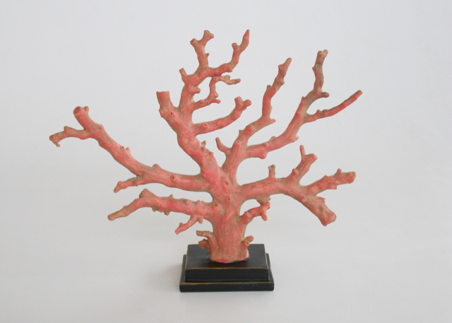 Dusty Red Coral On Stand
