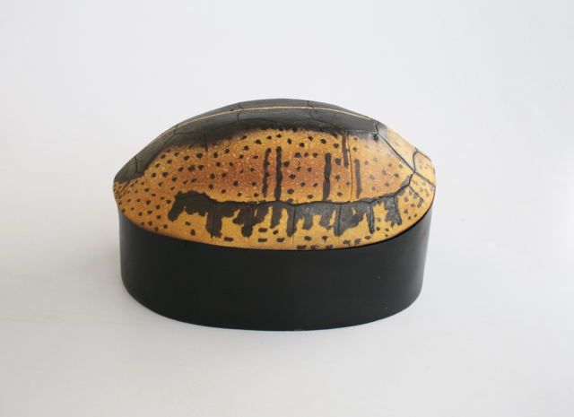 Large Tortoise Shell Box
