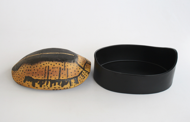 Large Tortoise Shell Box