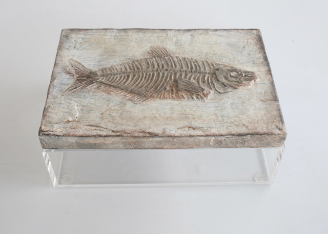 Large Perspex Box With Fish Emblem Lid