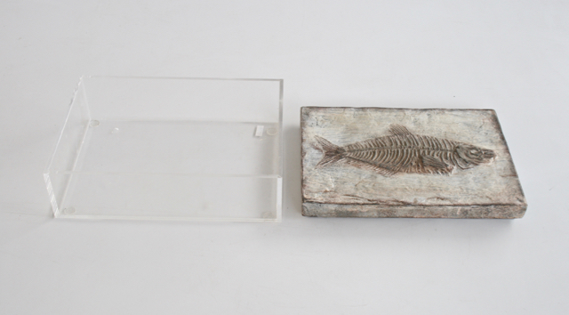 Large Perspex Box With Fish Emblem Lid