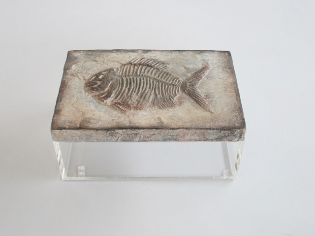 Medium Perspex Box With Fish Emblem Lid