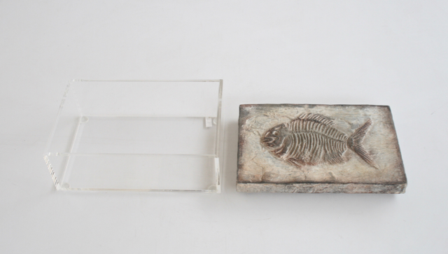 Medium Perspex Box With Fish Emblem Lid