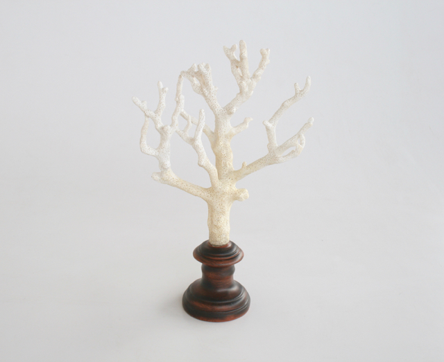 Natural Coral On Stand