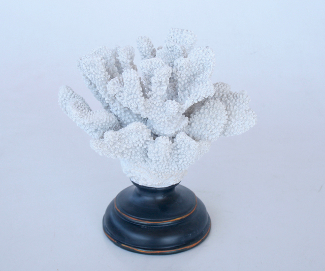 White Coral On Stand Candle Stick