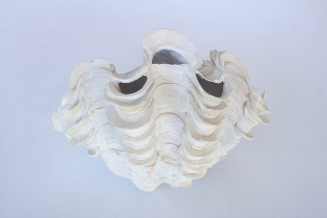 Clam Shell