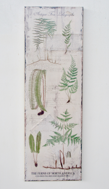 Fern Wall Plaque