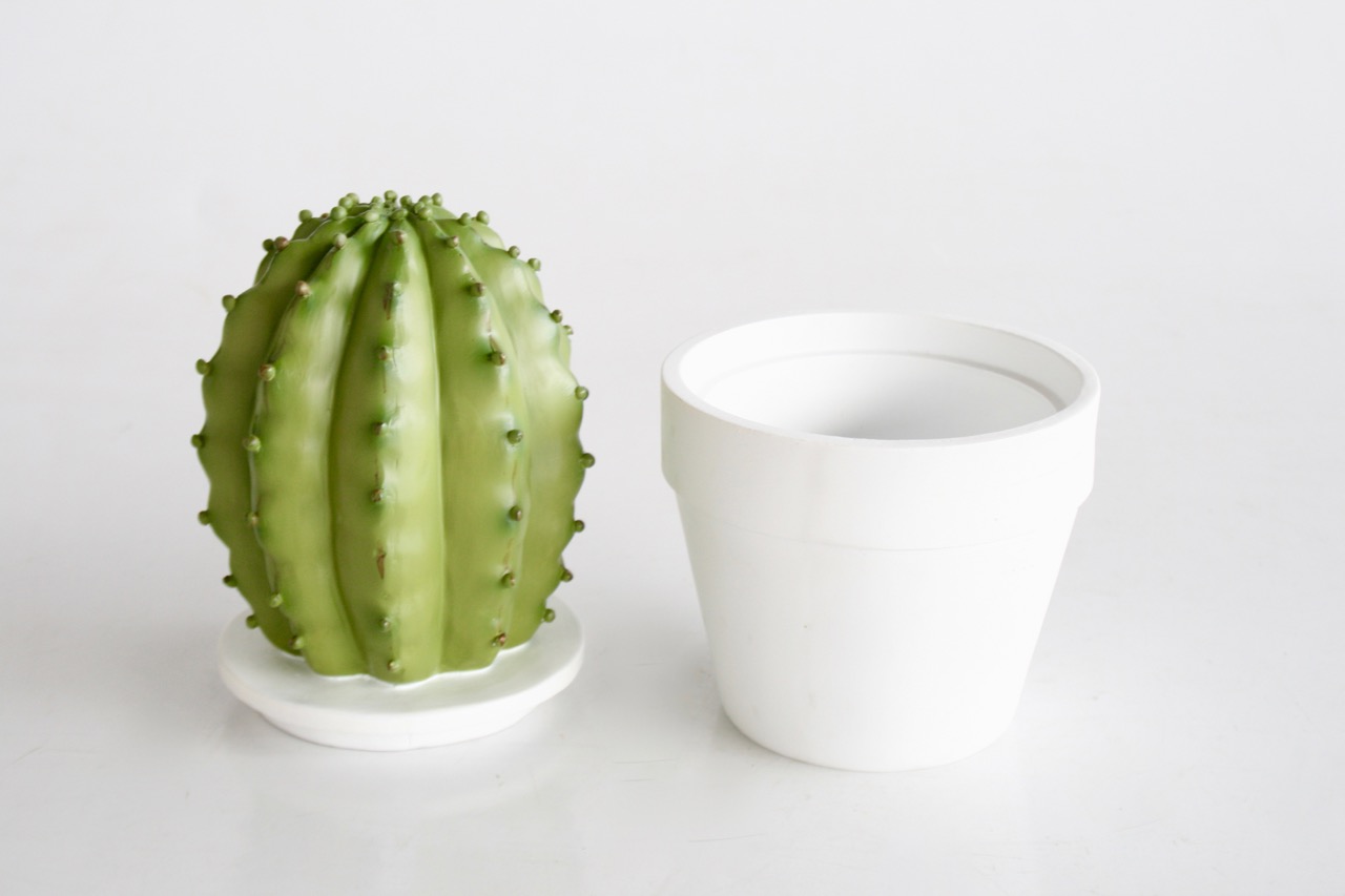 Fat Cactus In Pot