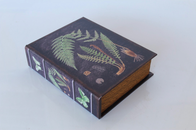 Set Of 3 Fern Black Boxes