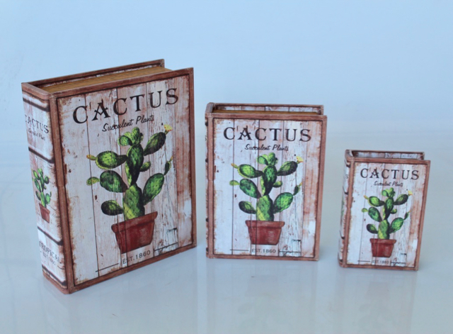 Set Of 3 Cactus Boxes