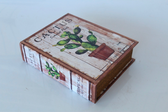 Set Of 3 Cactus Boxes