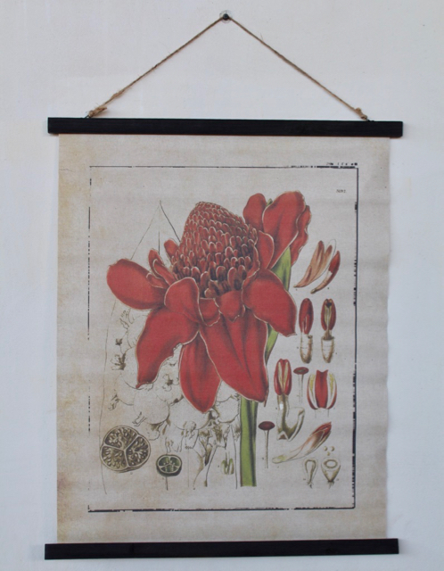 Red Botanical Hanging Print