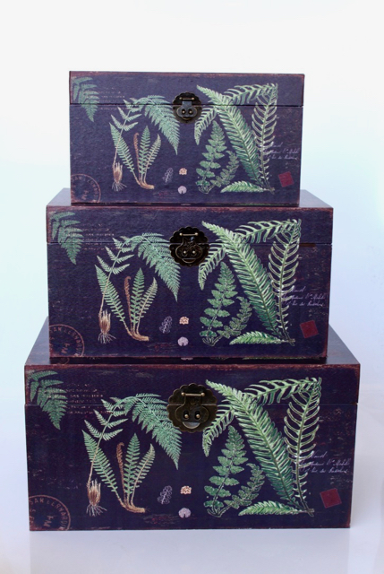 Set Of 3 Fern Kists