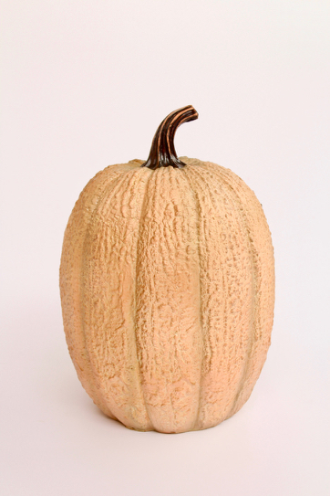 Brown Squash