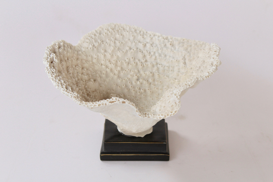 White Sea Sponge Bowl