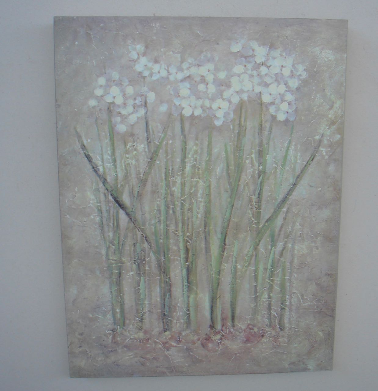 Snowdrops Picture