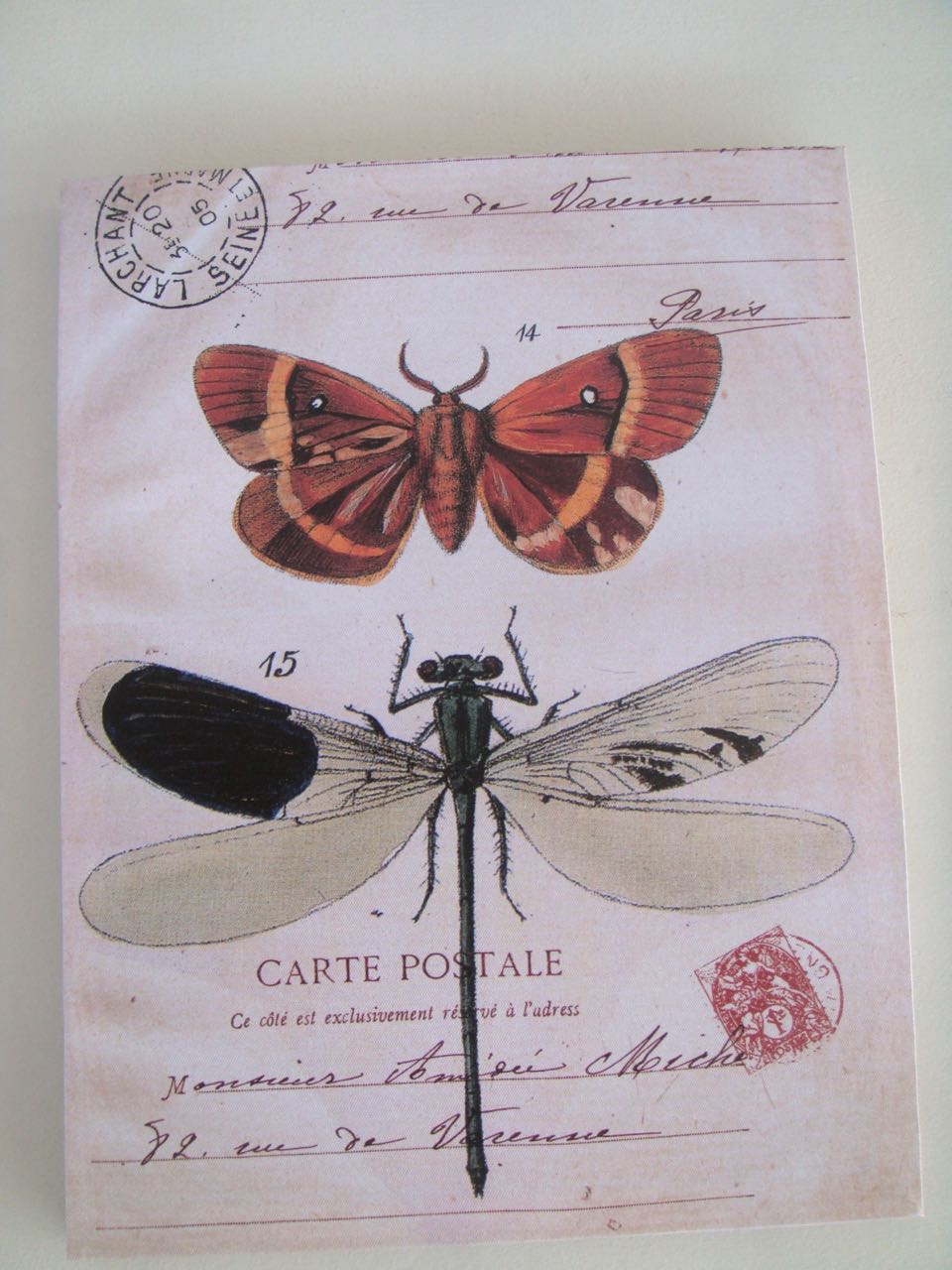 Canvas Picture Dragonfly