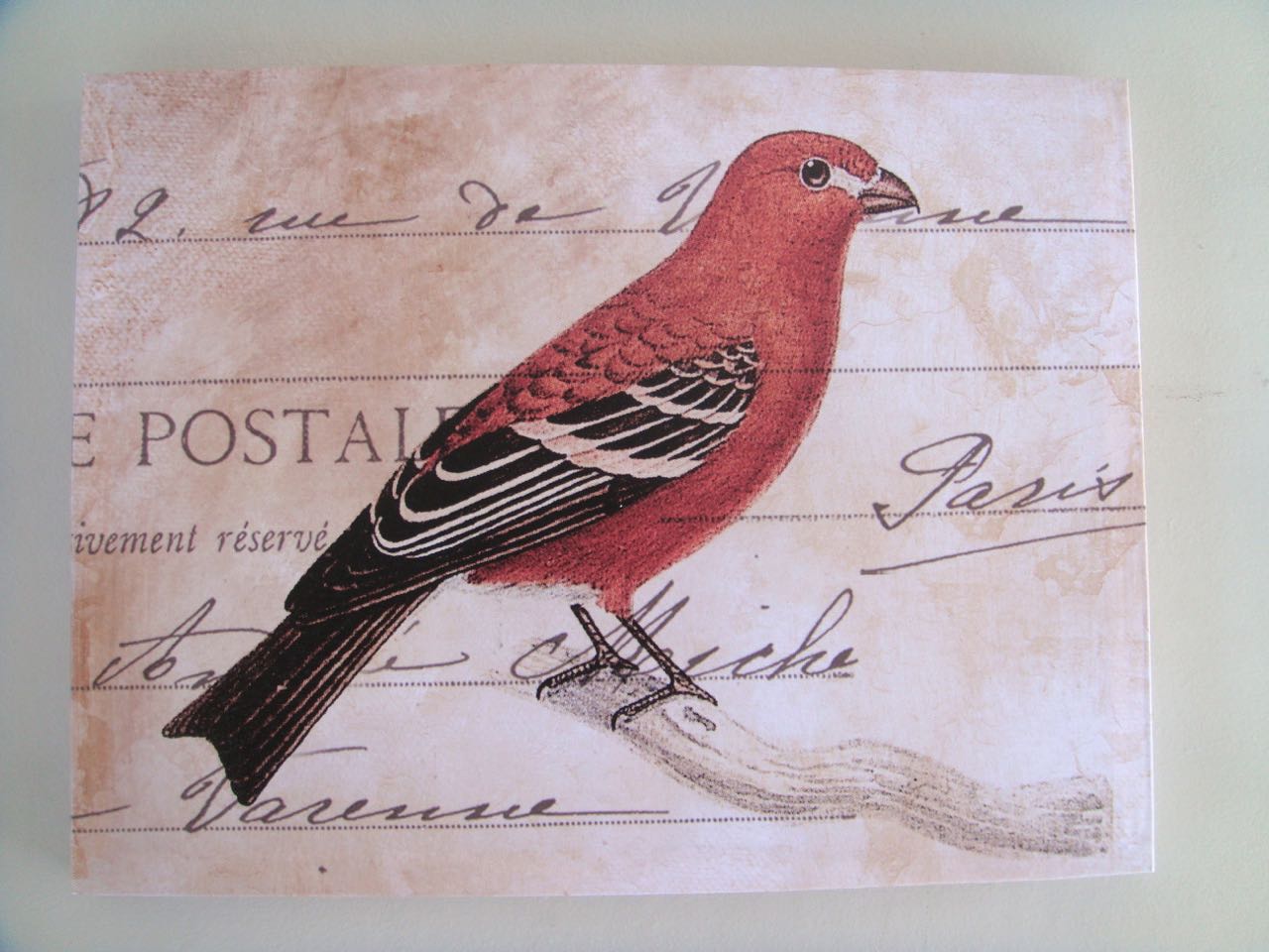 BIRD CANVAS PICTURE RED 35X45