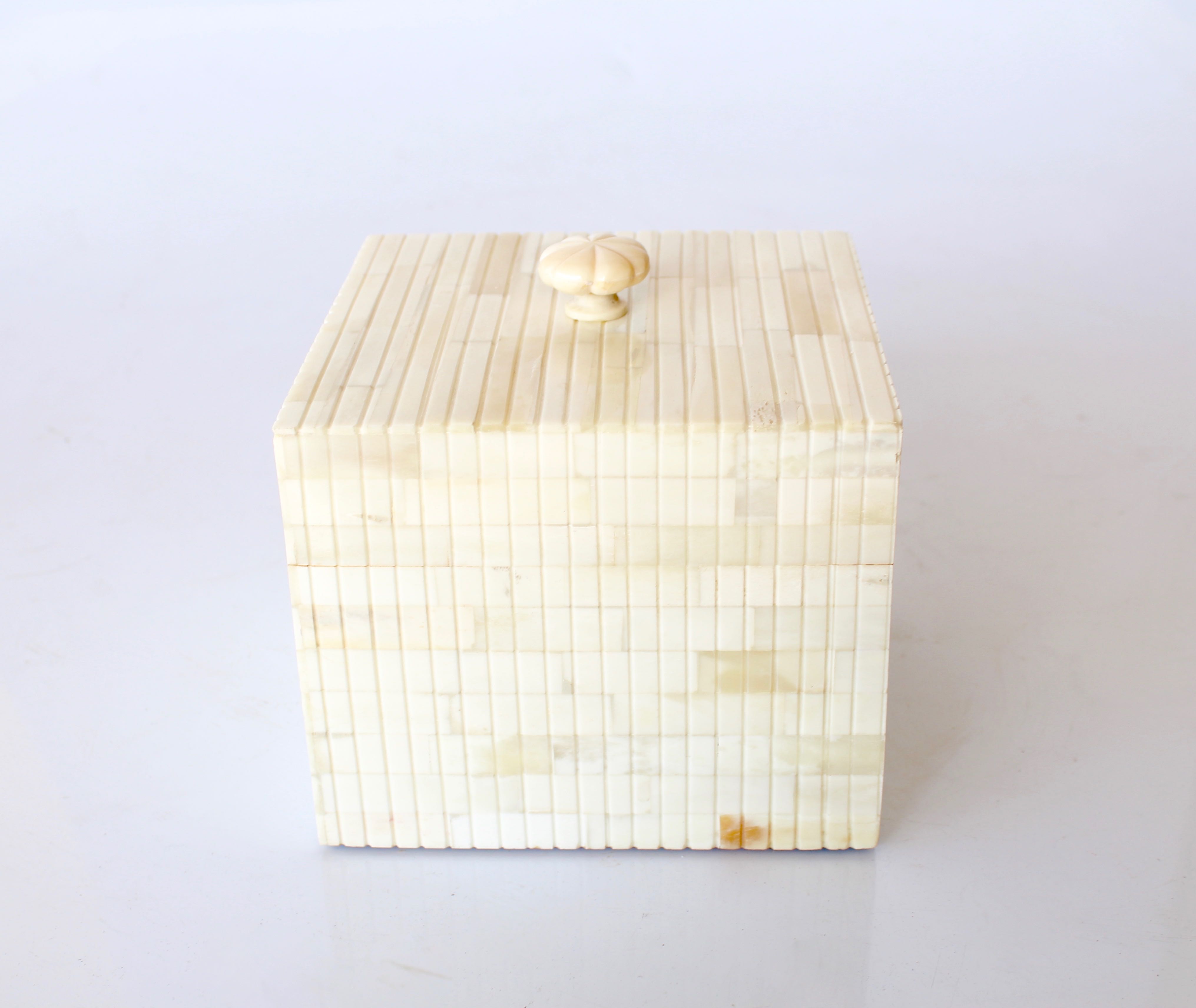 Square Bone Ridged Box With Knob