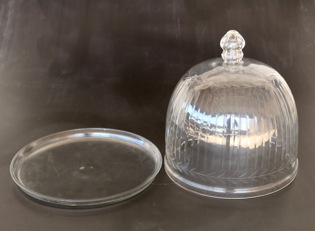 Large Leaf Cut Border Glass Dome & Base