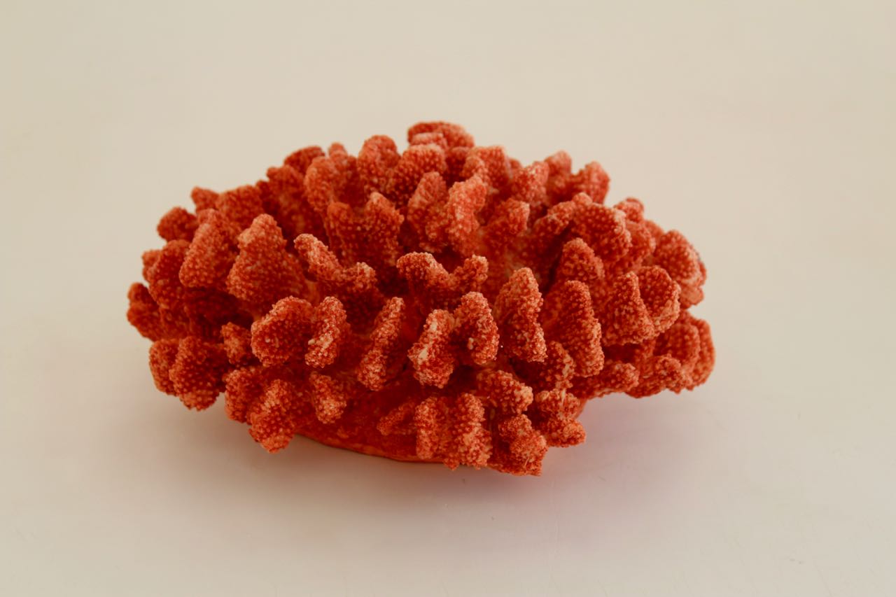 Red Coral Ornament