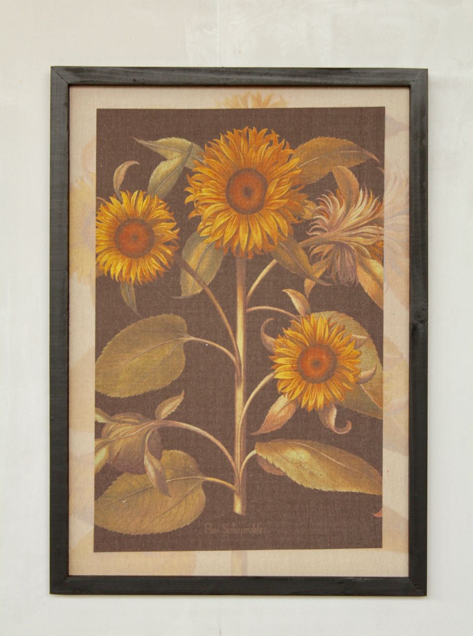 Sunflower Framed Picture