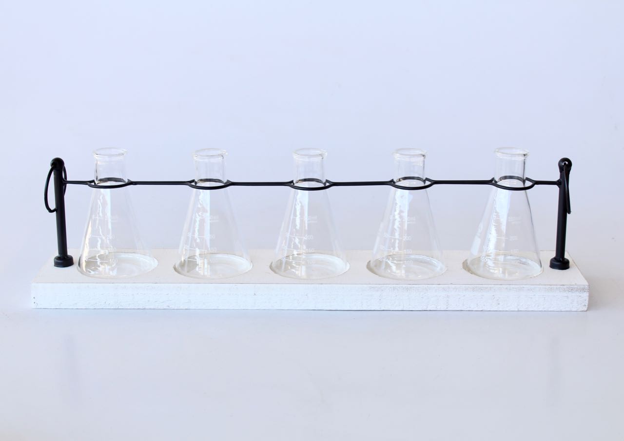 Set Of 5 Lab Vases