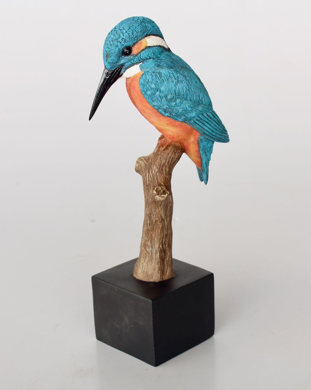 Kingfisher On Branch