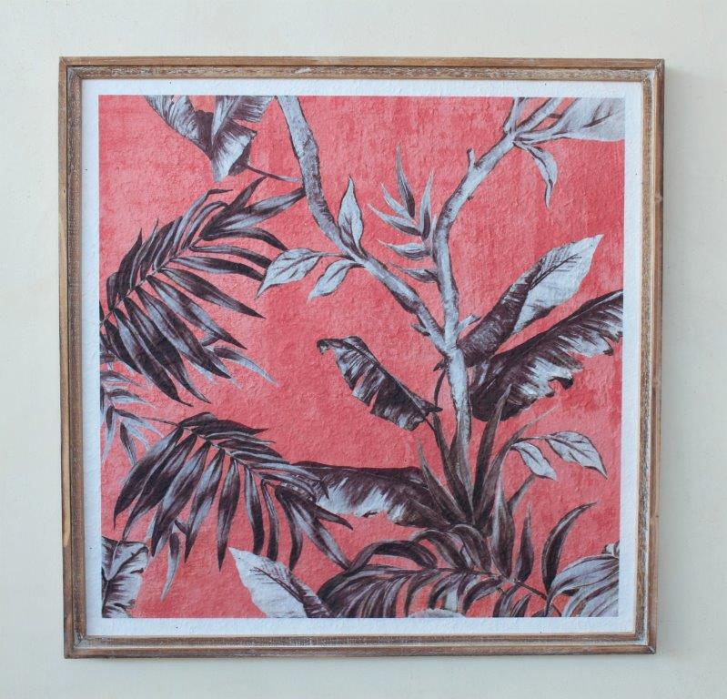 Coral Paper Picture