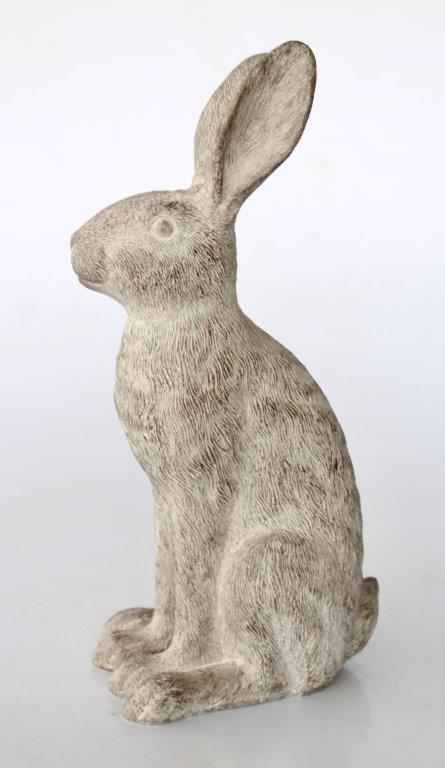 Large Grey Sitting Hare