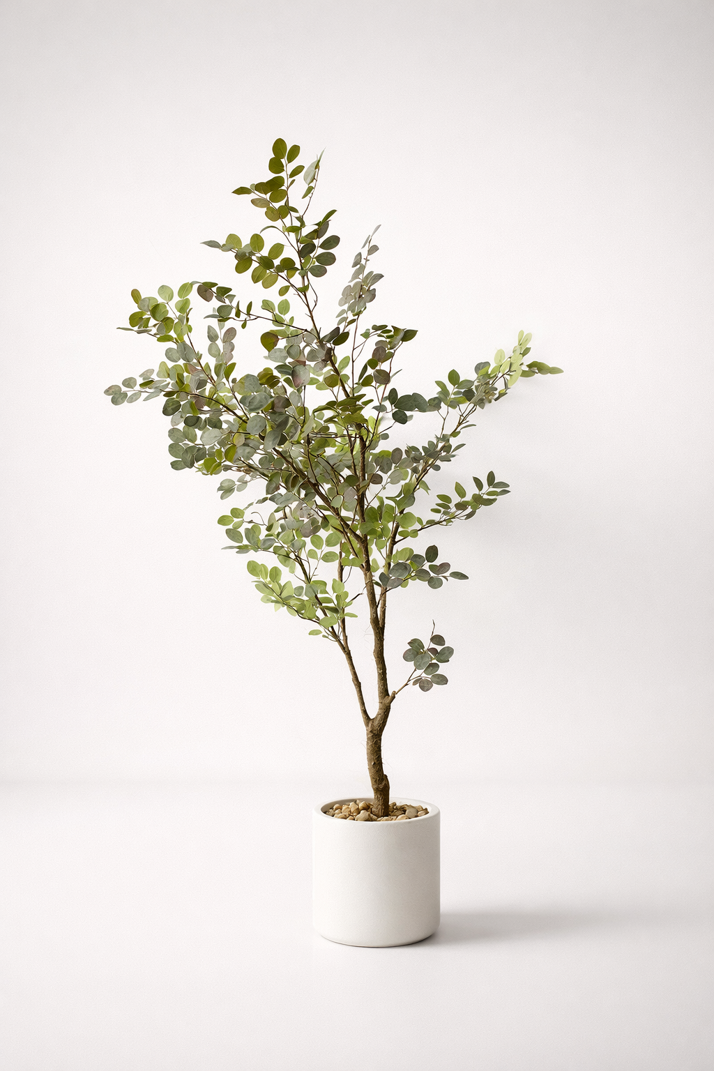 Green Leaf Tree In Ceramic Pot