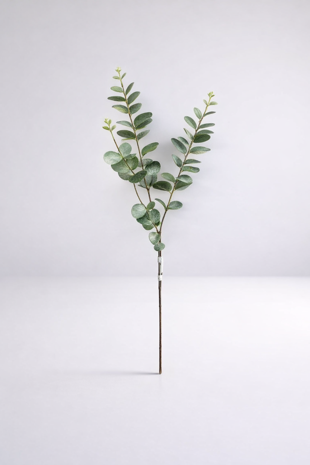 Penny Gum Stem  - Min 3