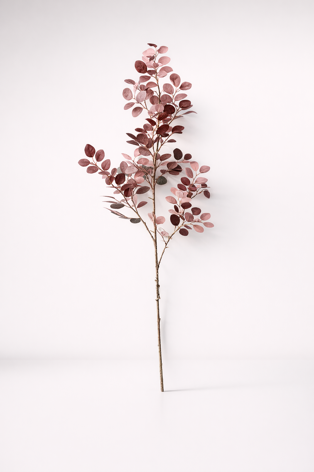 Red Brown Leaf Stem - Min 3