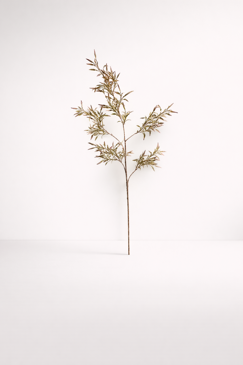 Seed Pod On Stem - Min 3