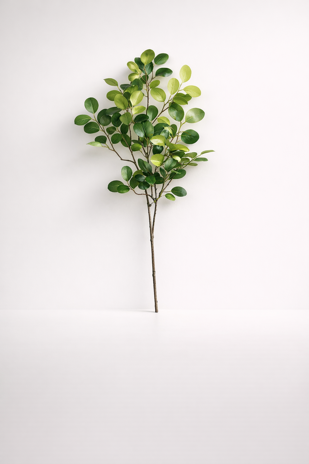 Green Leaf Stem - Min 3