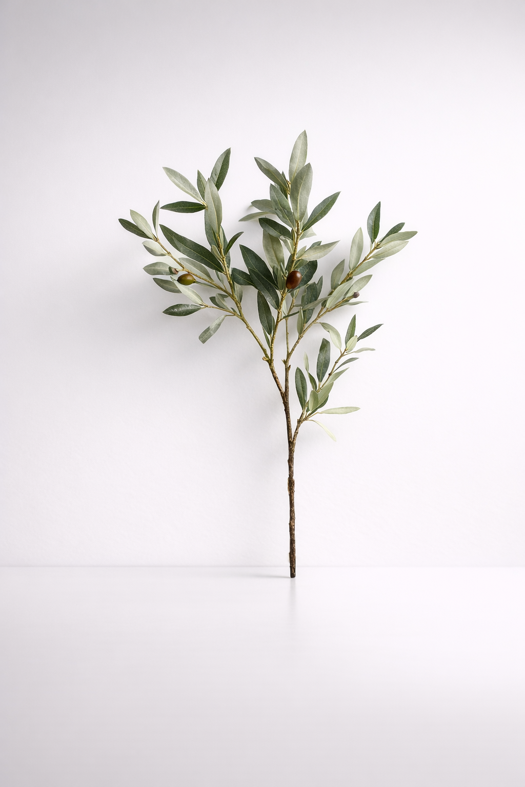 Olive Stem - Min 3