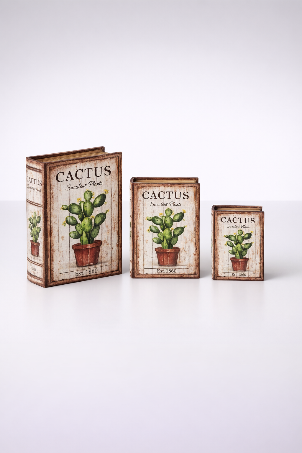 Set Of 3 Cactus Boxes