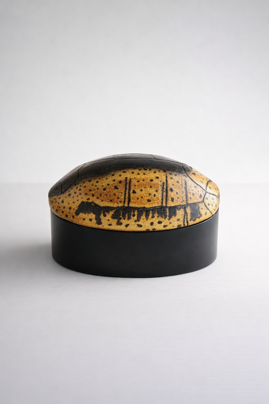 Large Tortoise Shell Box