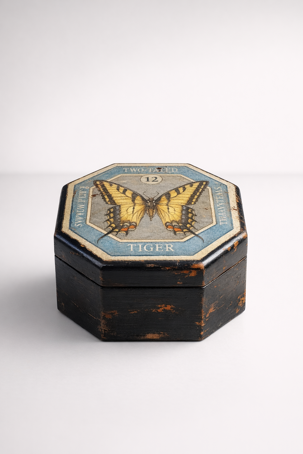 Blue Octagonal Butterfly Box