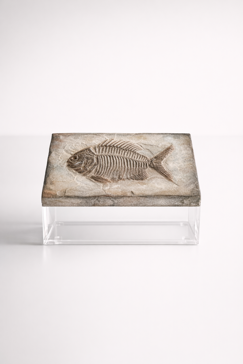 Medium Perspex Box With Fish Emblem Lid