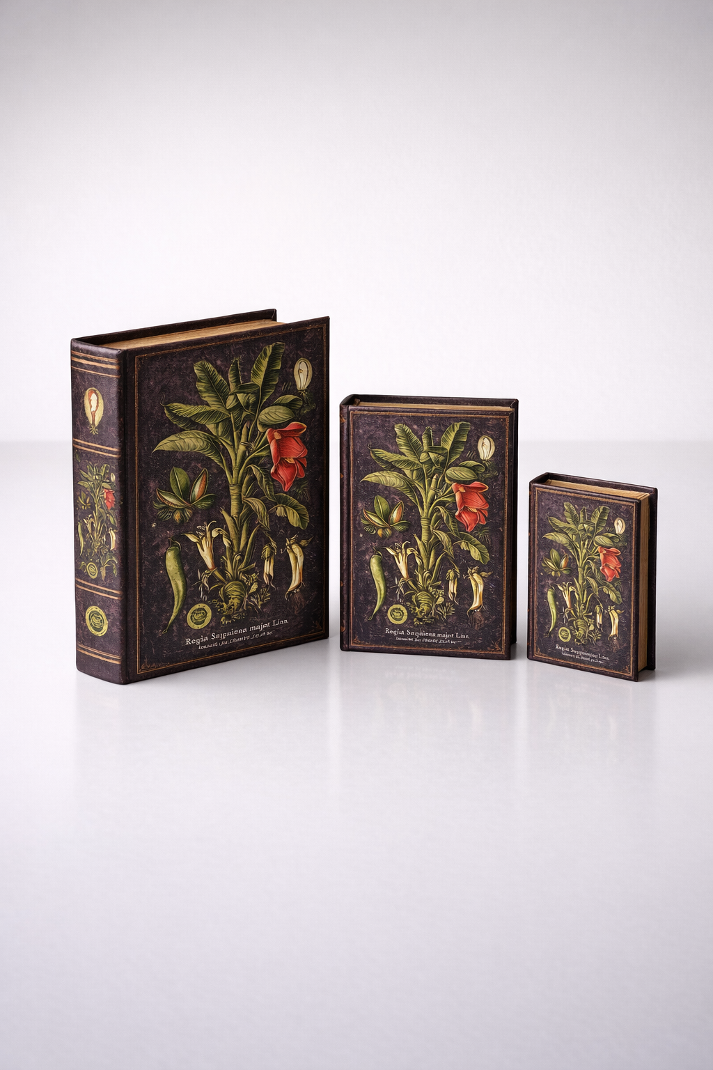 Set Of 3 Botanical Boxes Black & Red