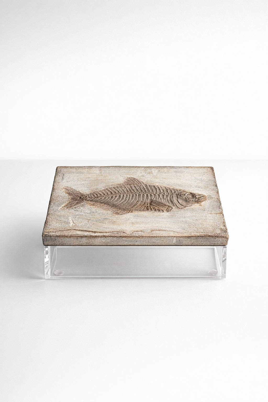 Large Perspex Box With Fish Emblem Lid