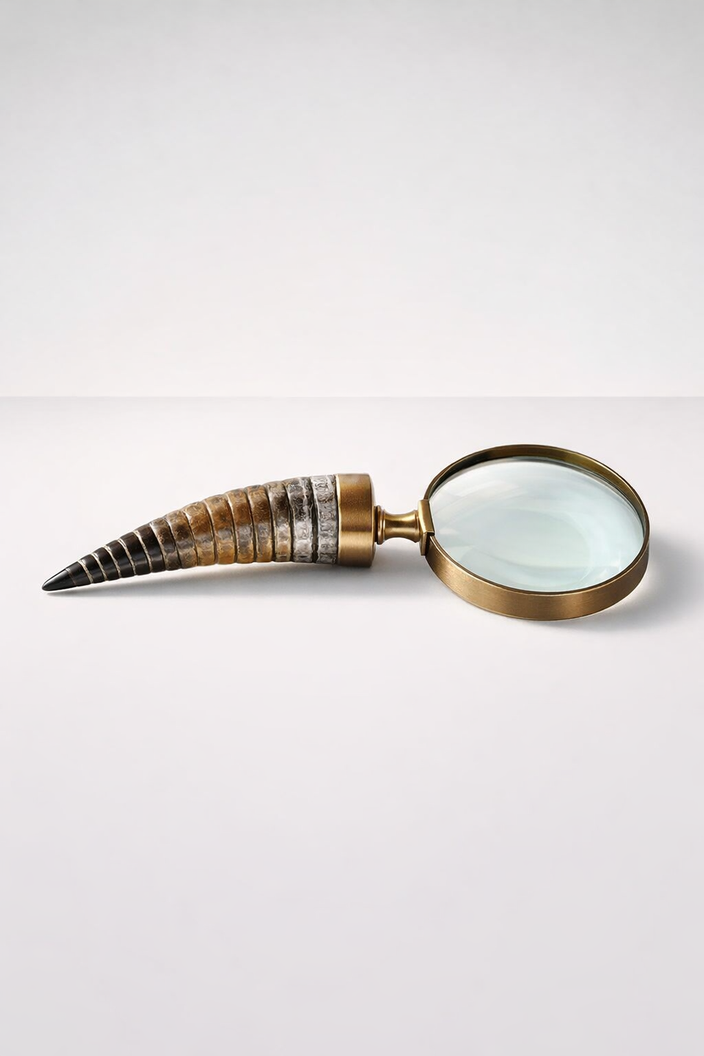 Large Brass Magnifying Glass Horn Handle