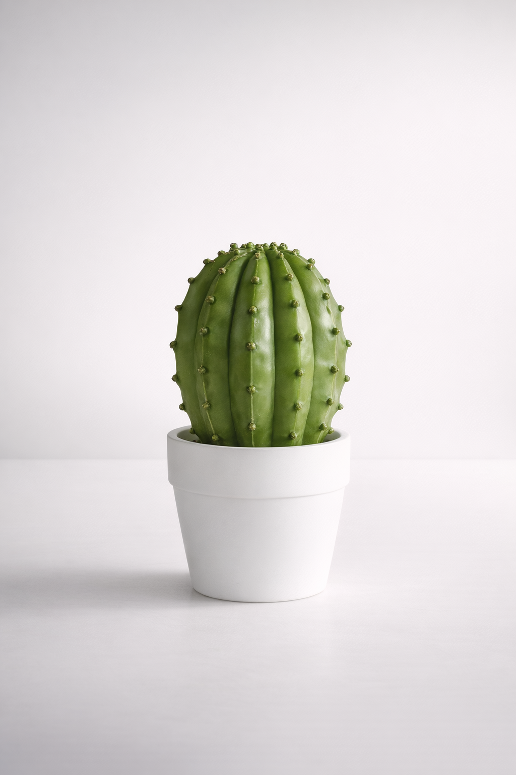 Fat Cactus In Pot