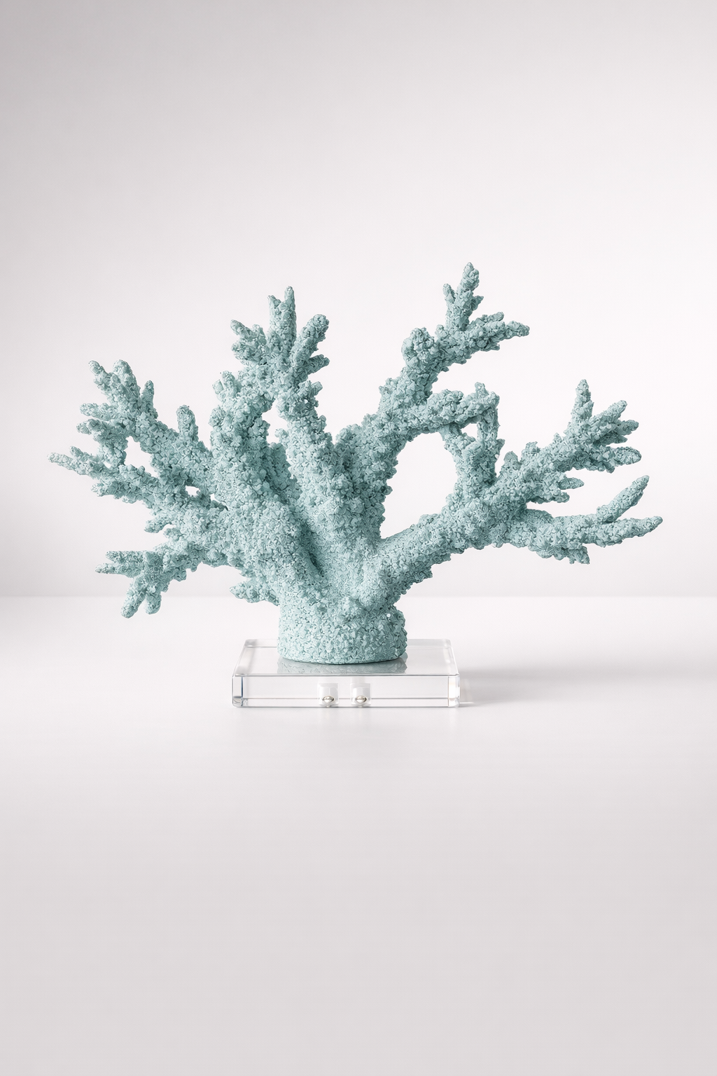 Pale Blue Coral On Perspex Base